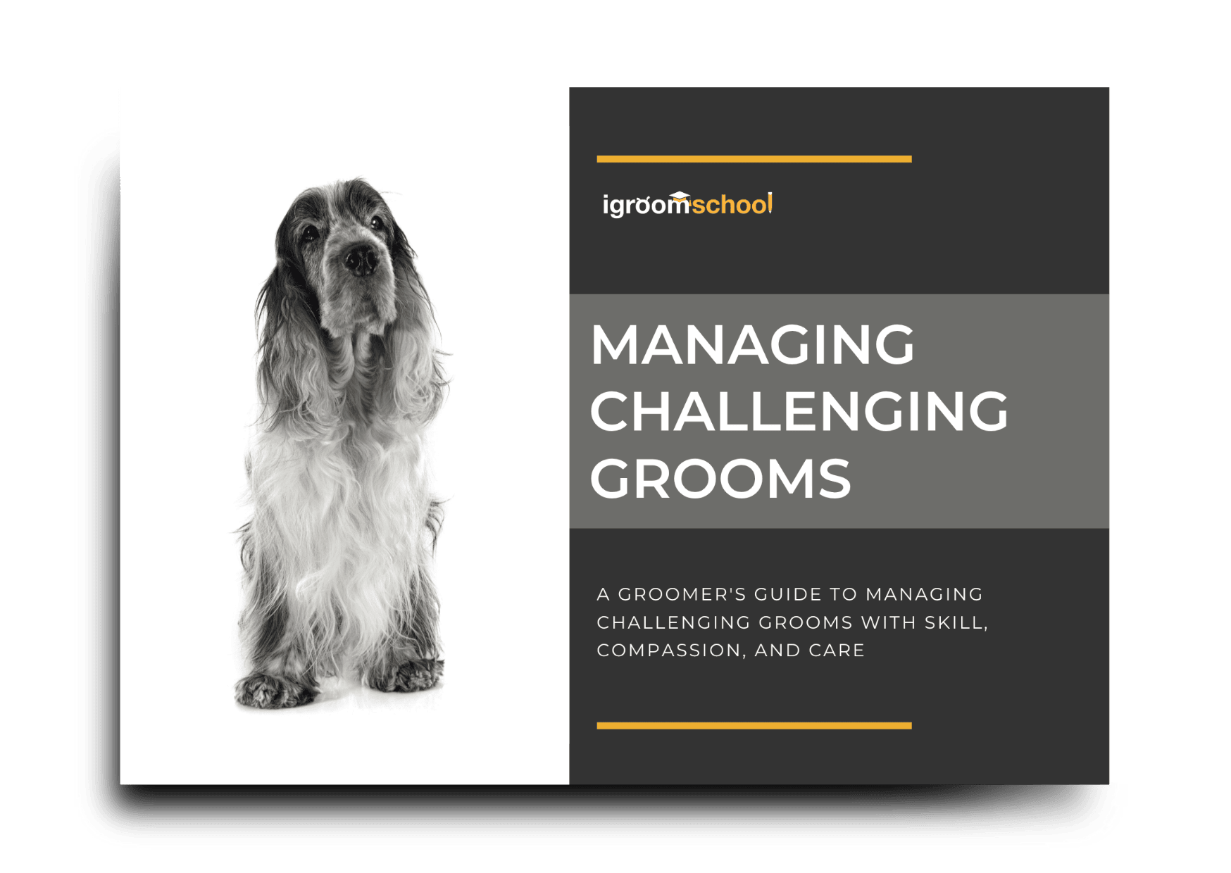 Cover of an online course titled 'Managing Challenging Grooms', featuring a black-and-white photo of a long-haired dog on the left, and text on the right that reads 'A groomer's guide to managing challenging grooms with skill, compassion, and care'.