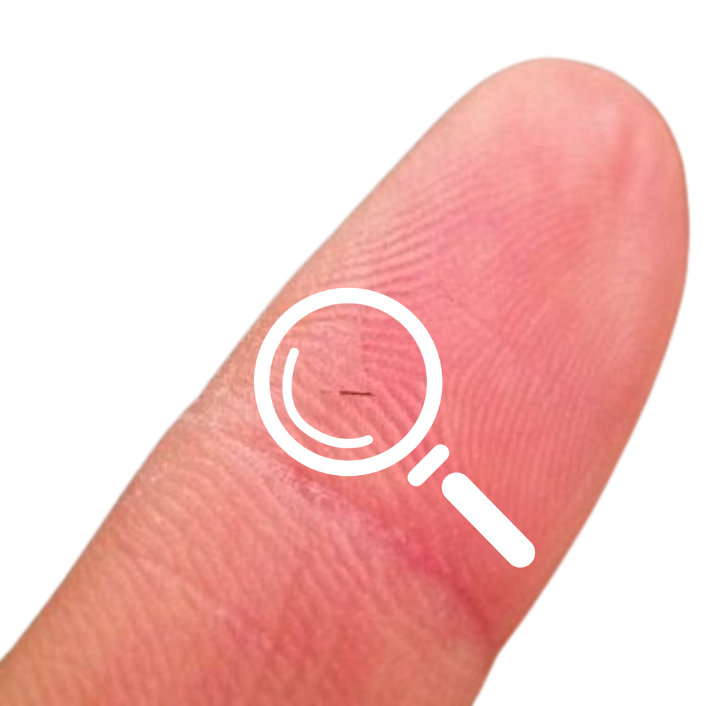 Pet Grooming and Hair Splinters