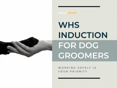 A flyer or brochure for dog groomers about WHS induction, emphasizing the importance of working safely.