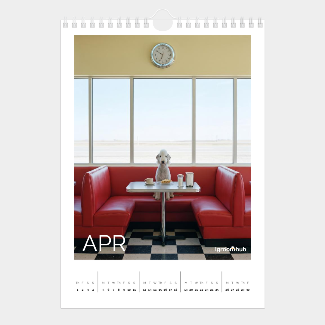 apr.png
