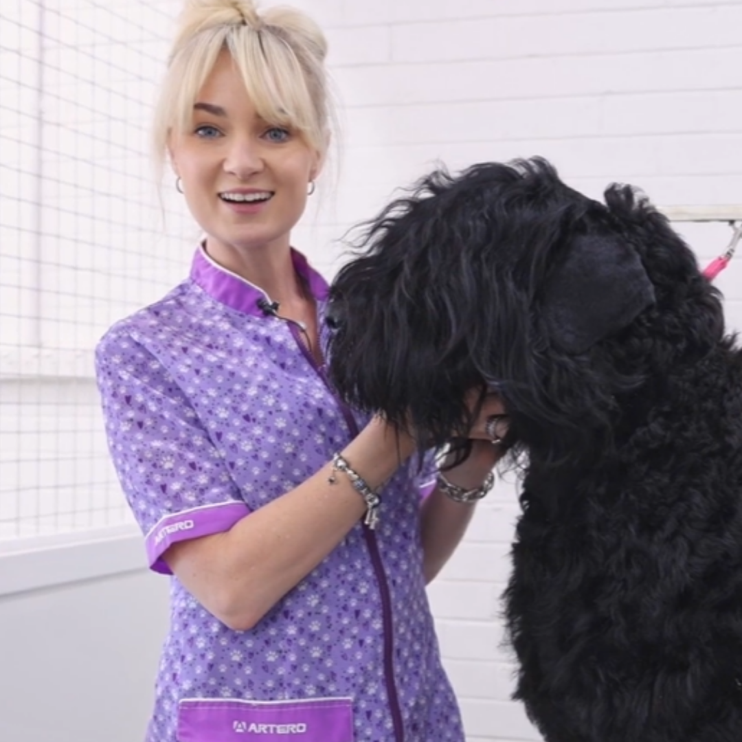 A woman with long blonde hair sitting on a wooden chair, smiling, wearing a blue vest with a logo, jeans, white sneakers, and a smartwatch, sitting next to a potted eucalyptus plant against a plain white wall with sunlight streaming in.