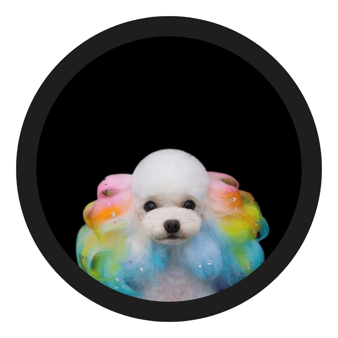 Decorative white poodle dog surrounded by colorful rainbow aura with small rhinestones on the fur, against black background.