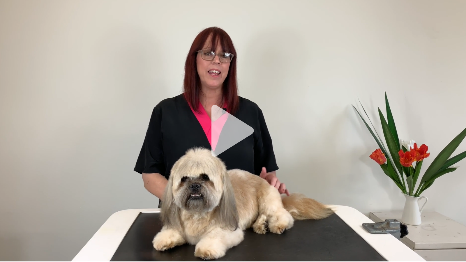Ocky and Sue with a cute pet trim and great lessons in balance (2 videos)