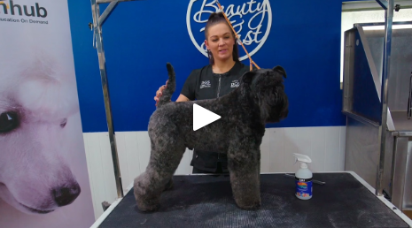 Alicia Fragiadakis and Frank (4 videos)
