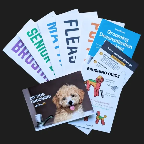 free brochure sample pack_igroomhub.webp