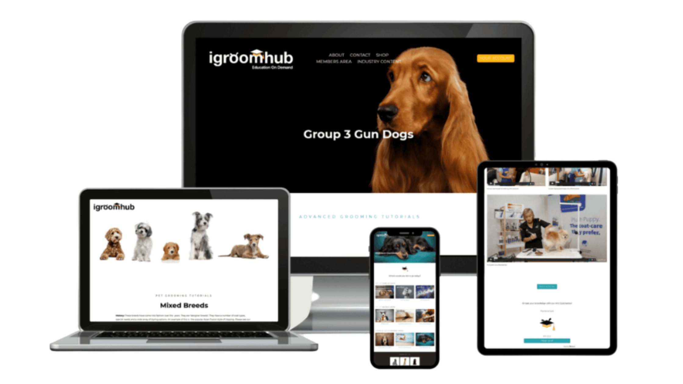 igroomhub website displayed on desktop, tablet and mobile devices