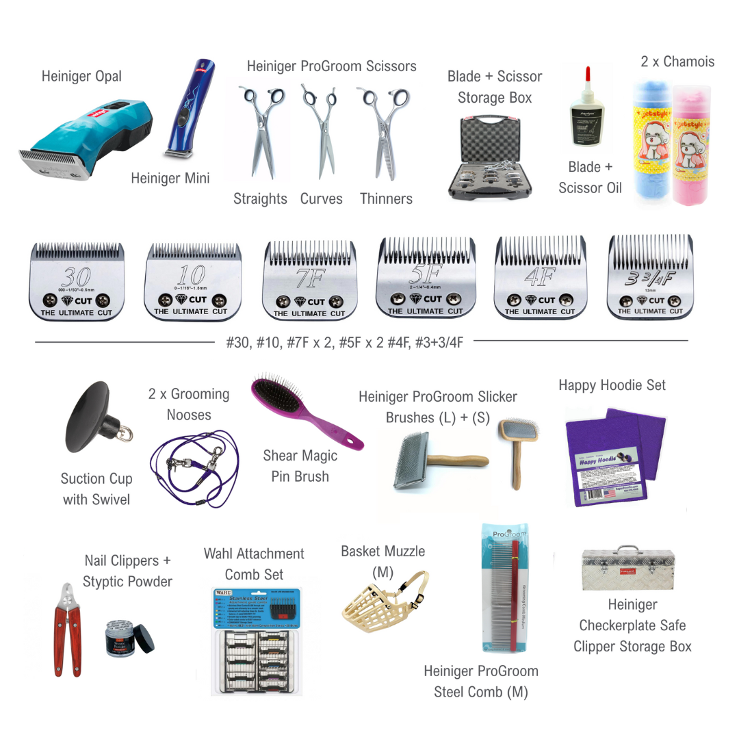 igroomschool Student Kit | The Kit and Kaboodle!