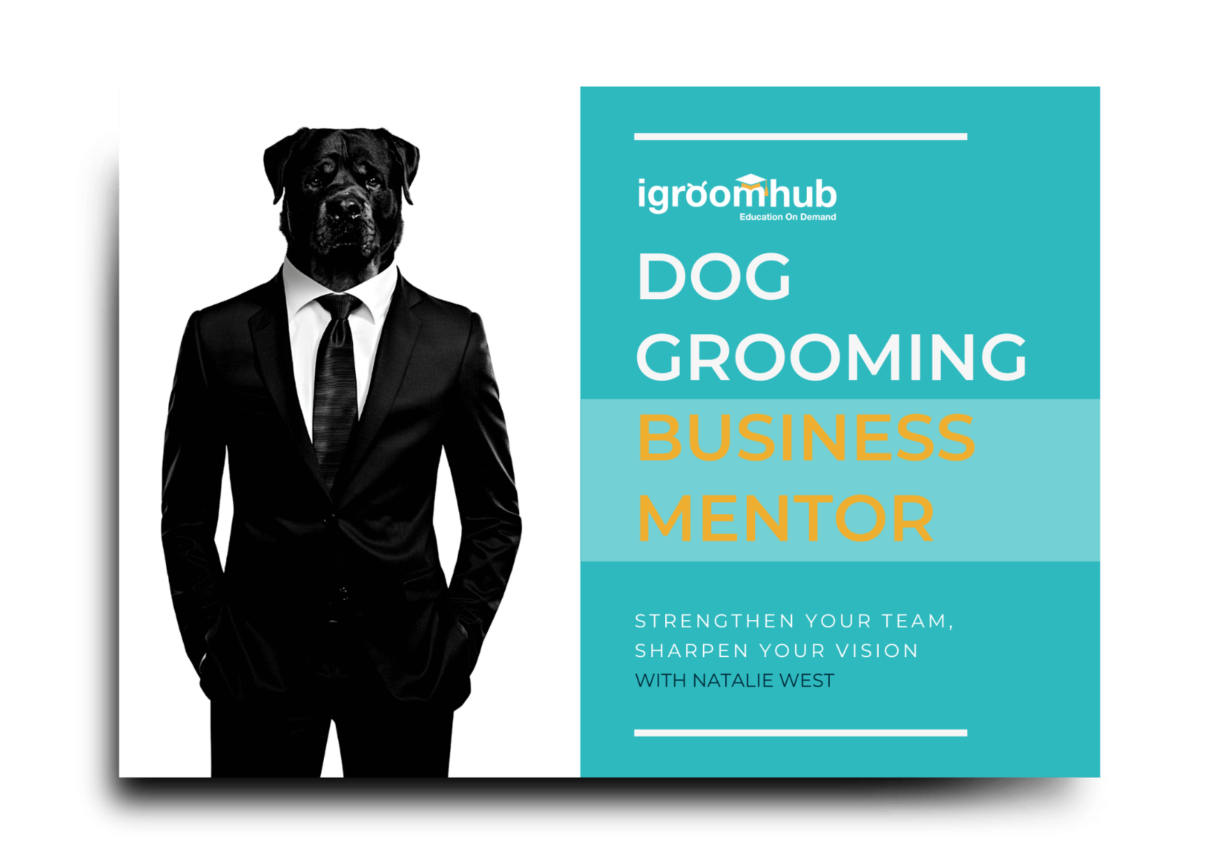 Essential Resources and Training for Dog Grooming Business Success