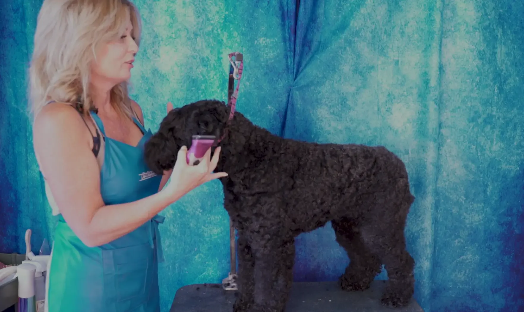 Allison Alexander and Luna (9 videos)
