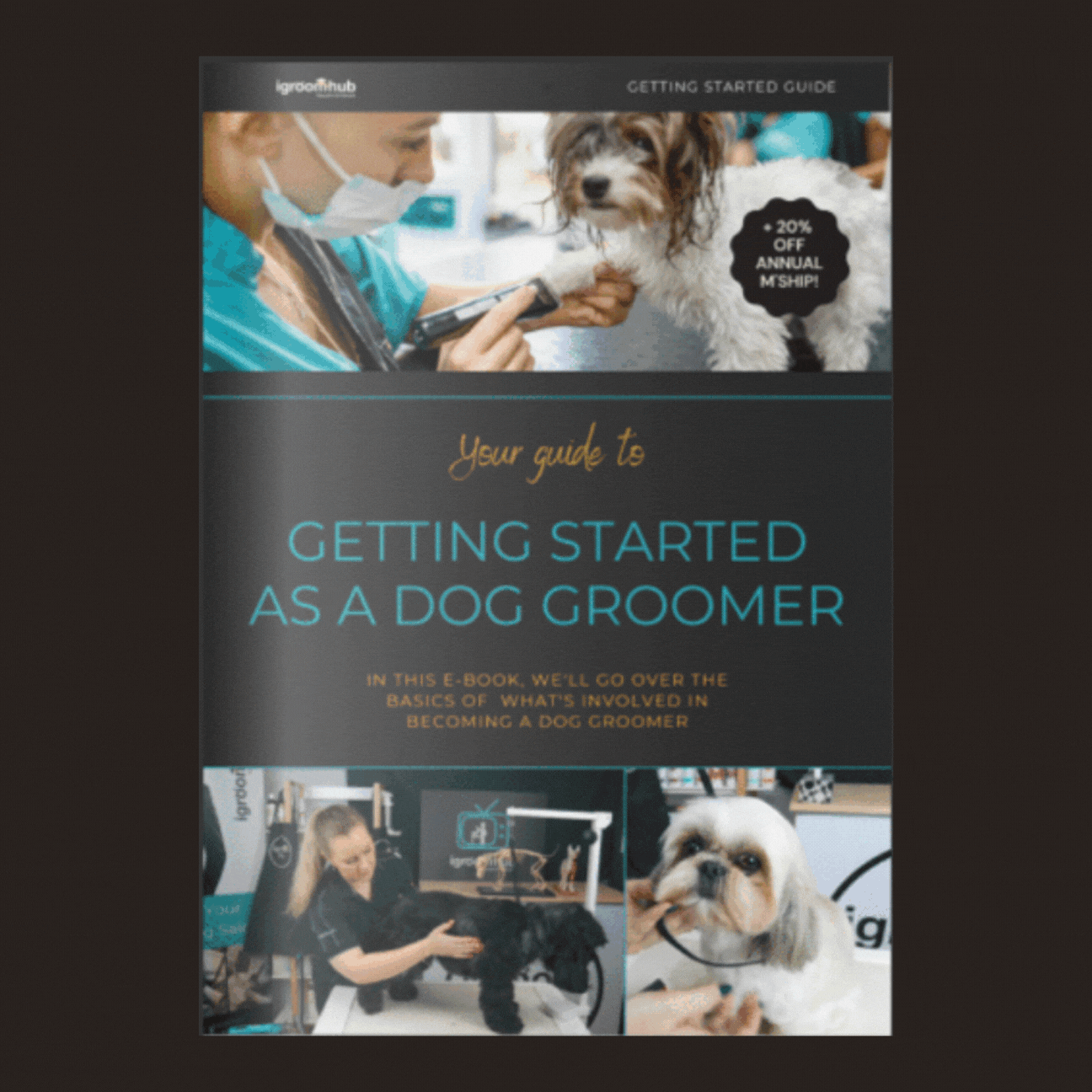 Learn to Groom Dogs and a Dog Groomer igroomhub