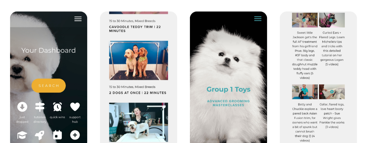 igroomhub members dashboard on mobile showing tutorial library, Cavoodle teddy trim listings, Group 1 Toys advanced grooming masterclasses, and tutorial thumbnail grid