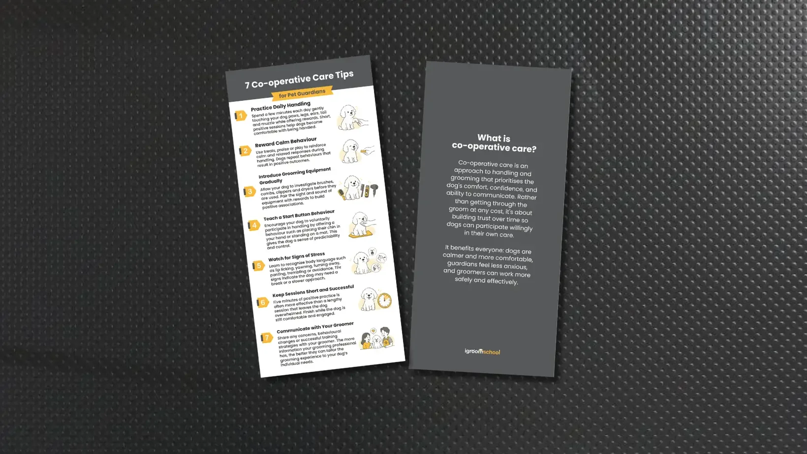 New Client Education Offering