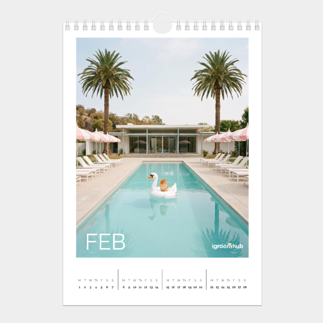 feb.png