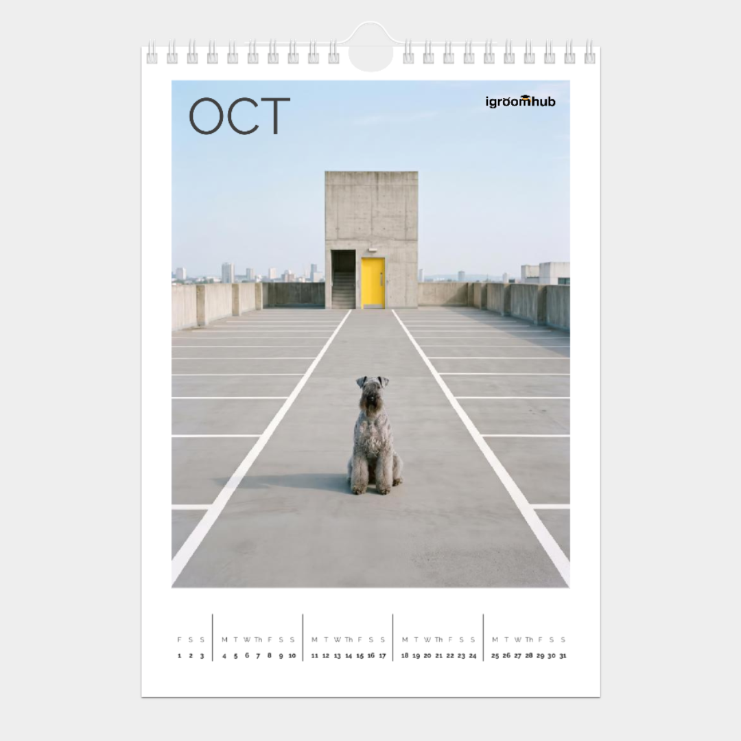 october.png