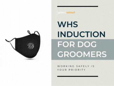A flyer or brochure for dog groomers about WHS induction, emphasizing the importance of working safely.