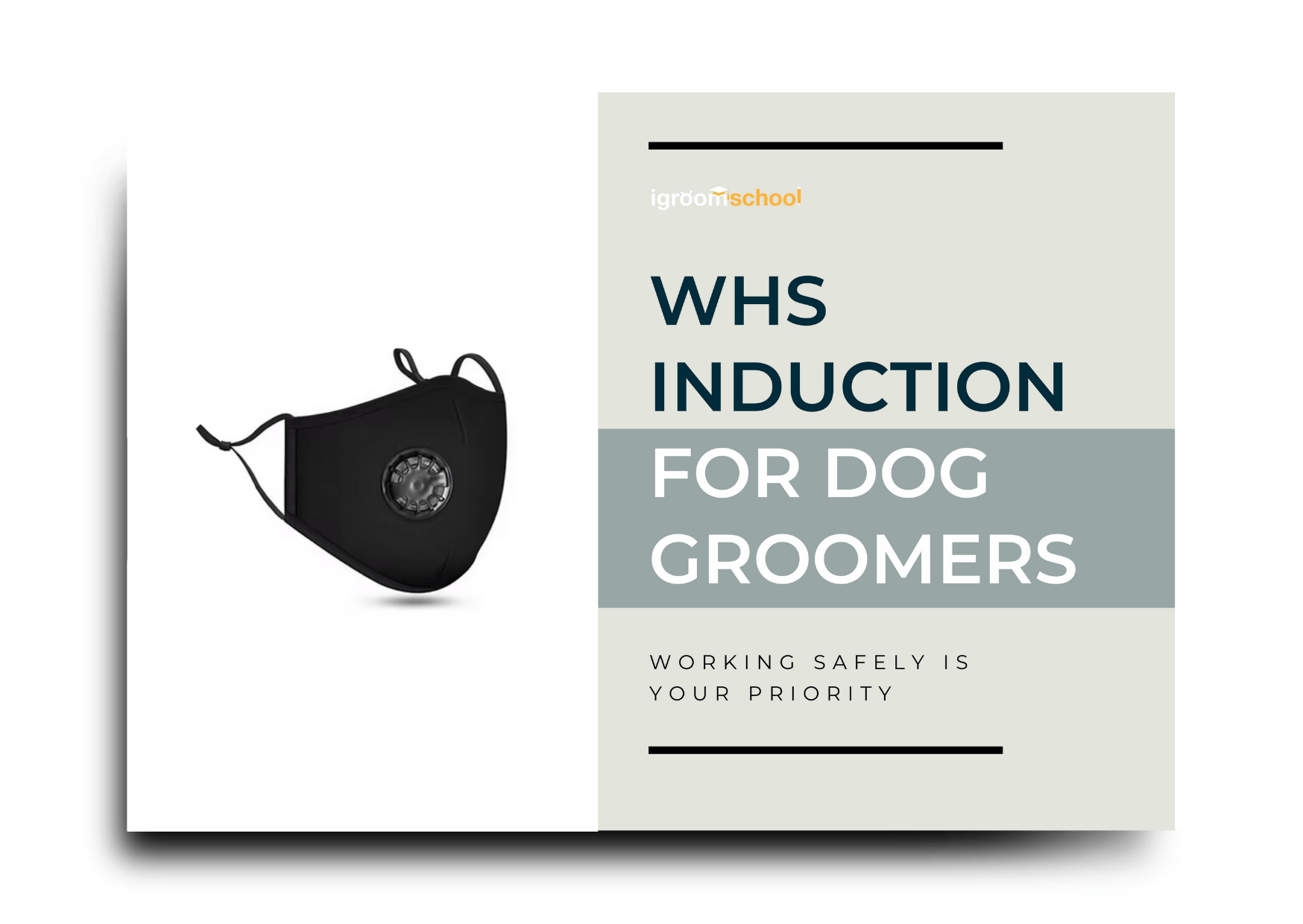 Educational brochure about wristwatch induction masks for dog groomers, featuring a black mask with a built-in air filter and the title 'WHS Induction for Dog Groomers'.