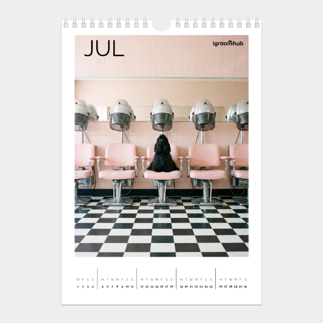 july.png