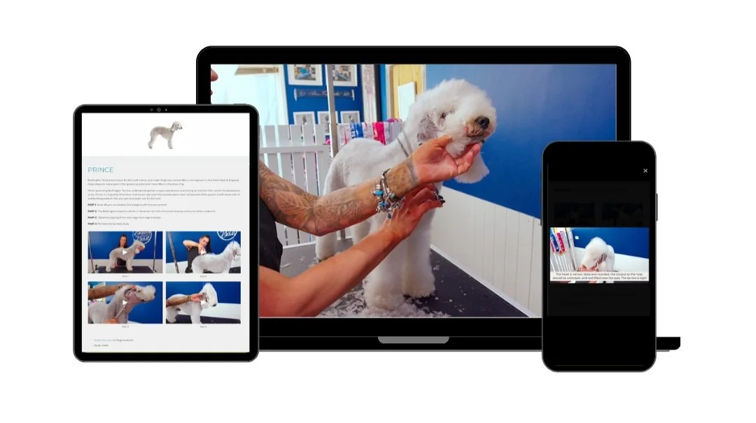 A person grooming a white fluffy dog on a grooming table, visible on a laptop, tablet, and smartphone screens.