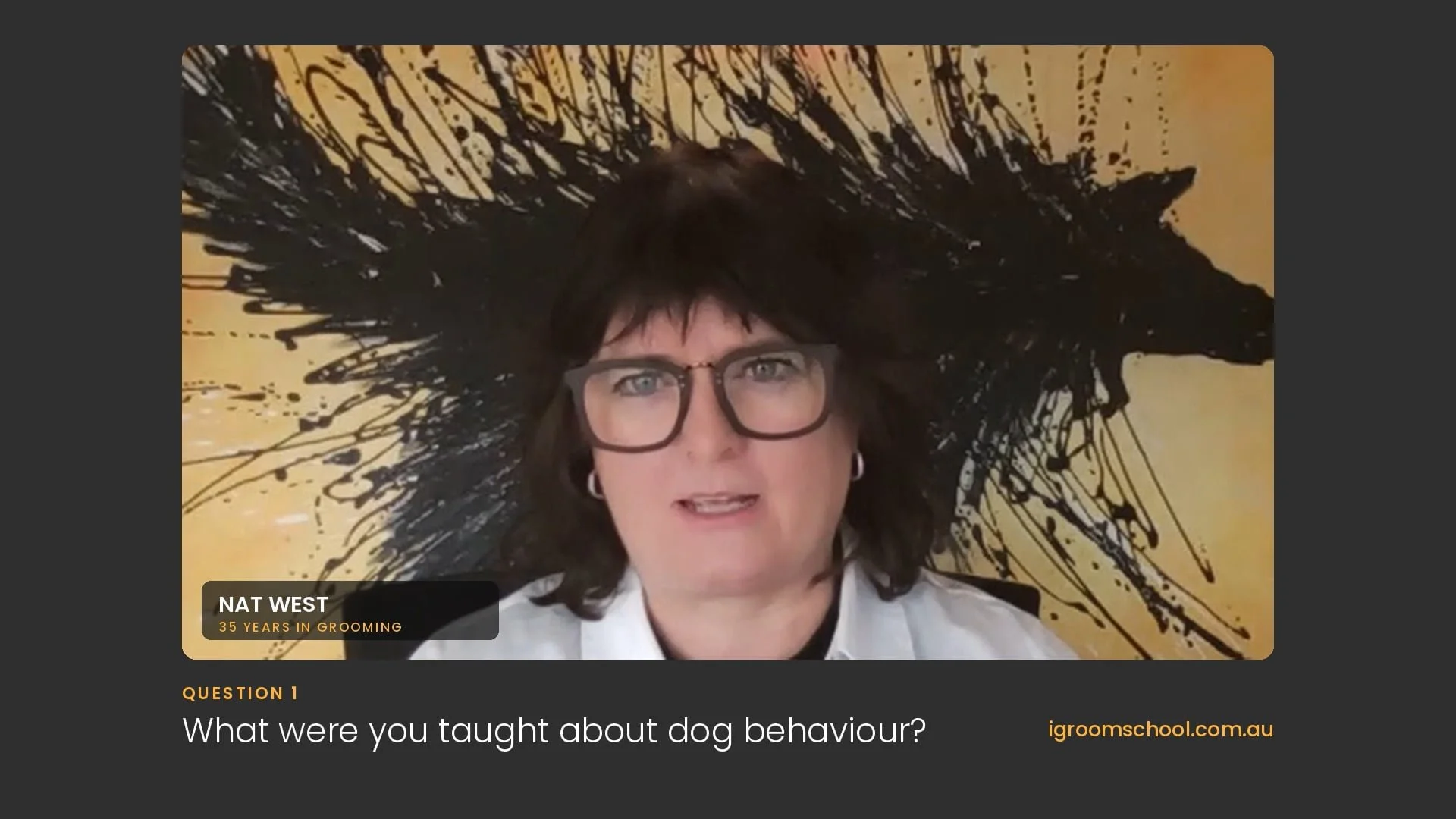Talking Behaviour + Dog Grooming Education