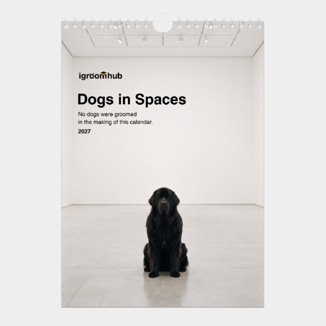 cover.png
