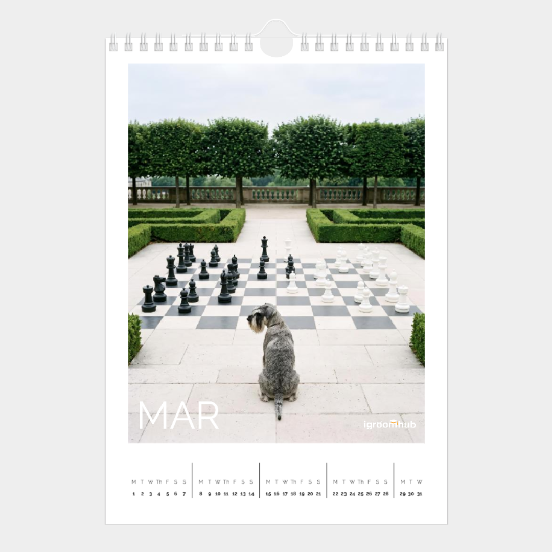 march.png