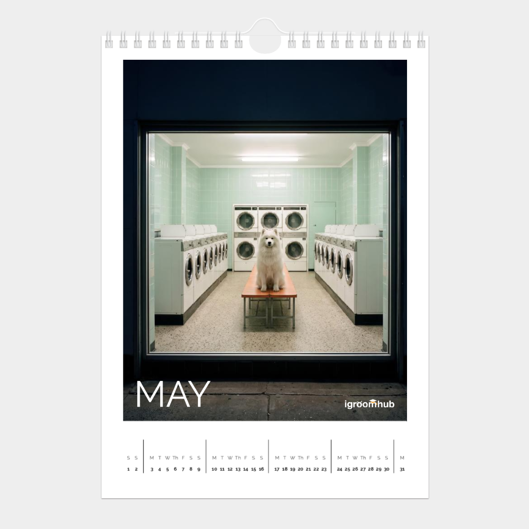 may.png