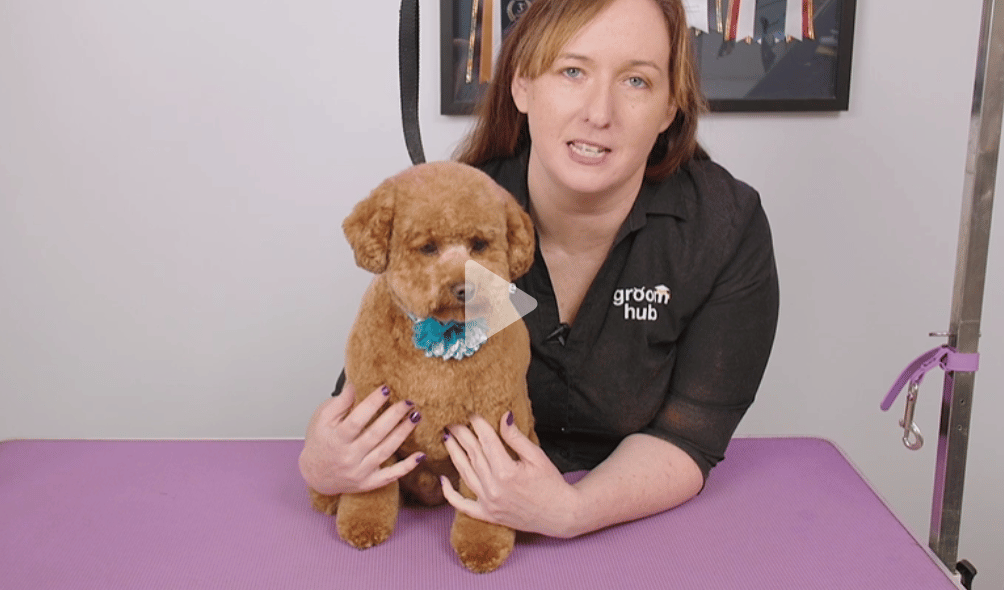 Theo and Michelle’s Ted-Fusion