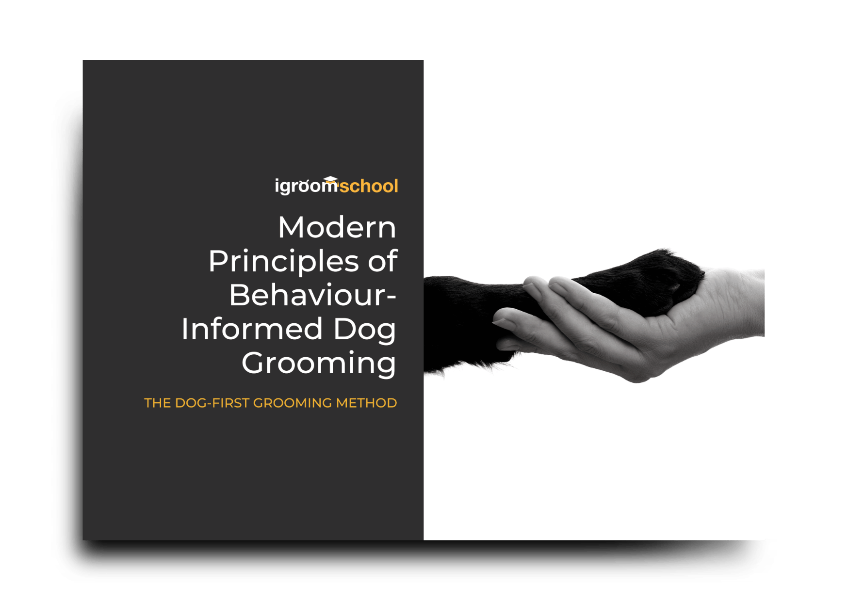 We Weren’t Taught This: How Dog Grooming Education Has Changed