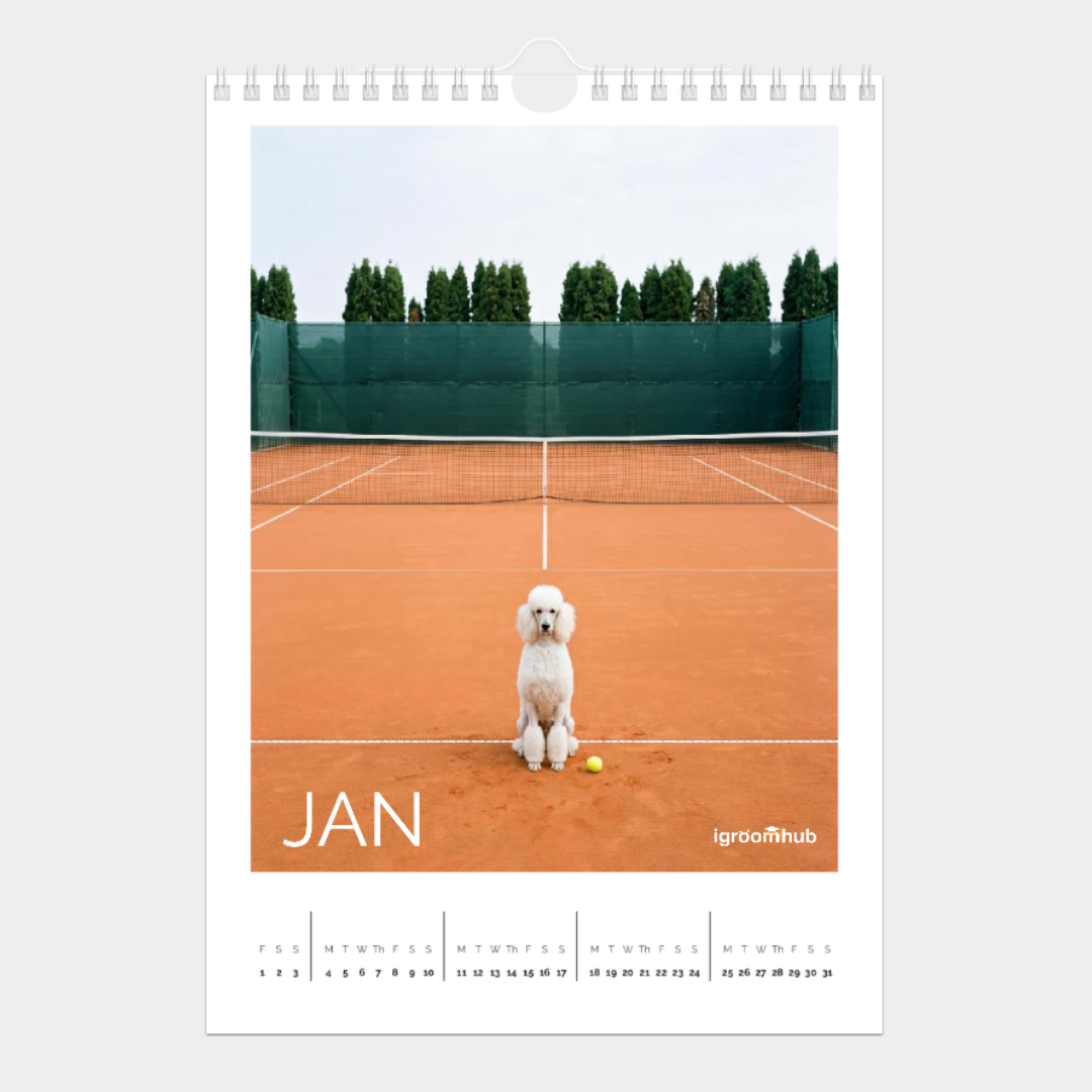jan.png