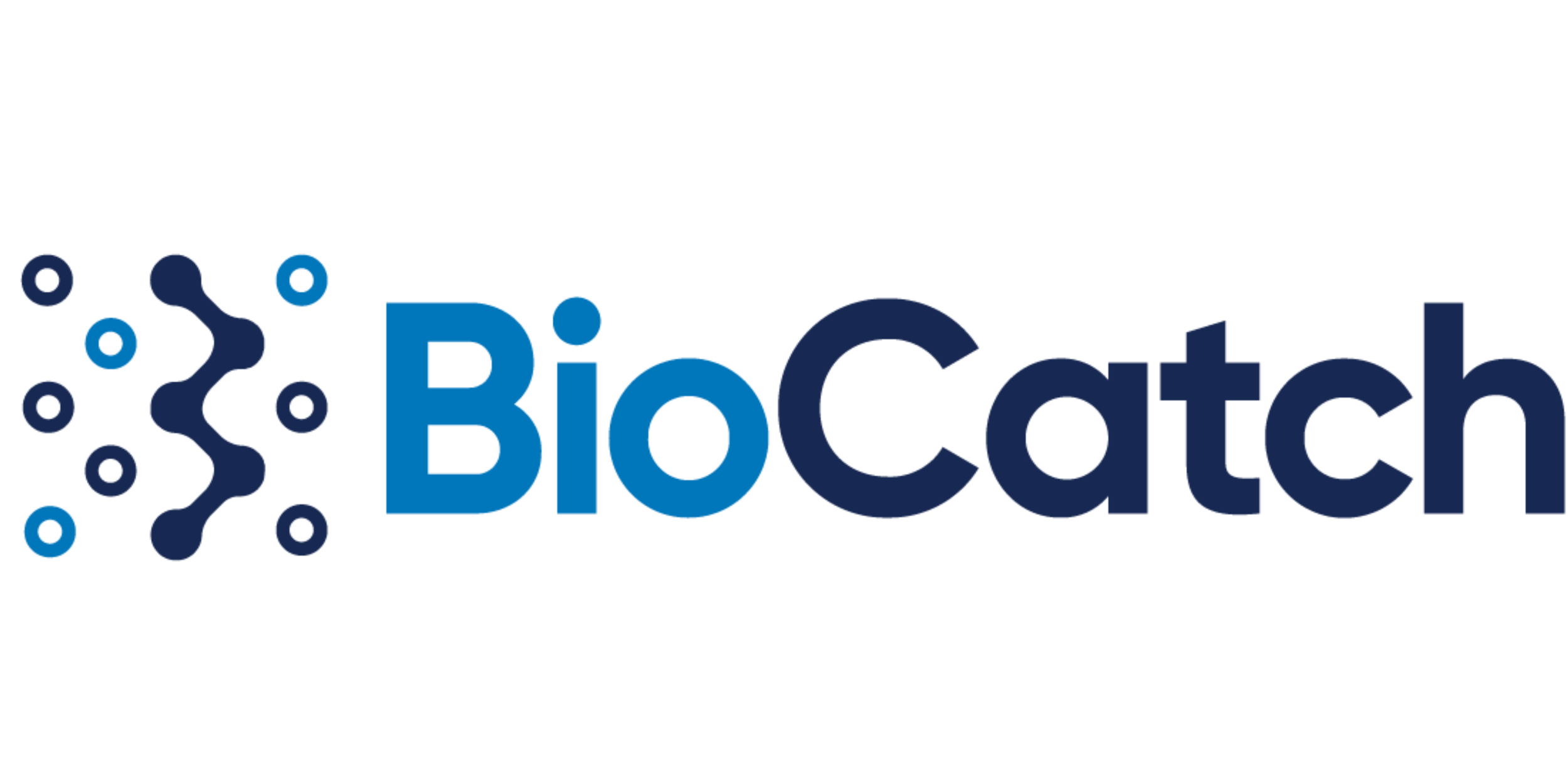 Logo with the text 'BioCatch' in blue, incorporating technology circuit-like design elements on the left.