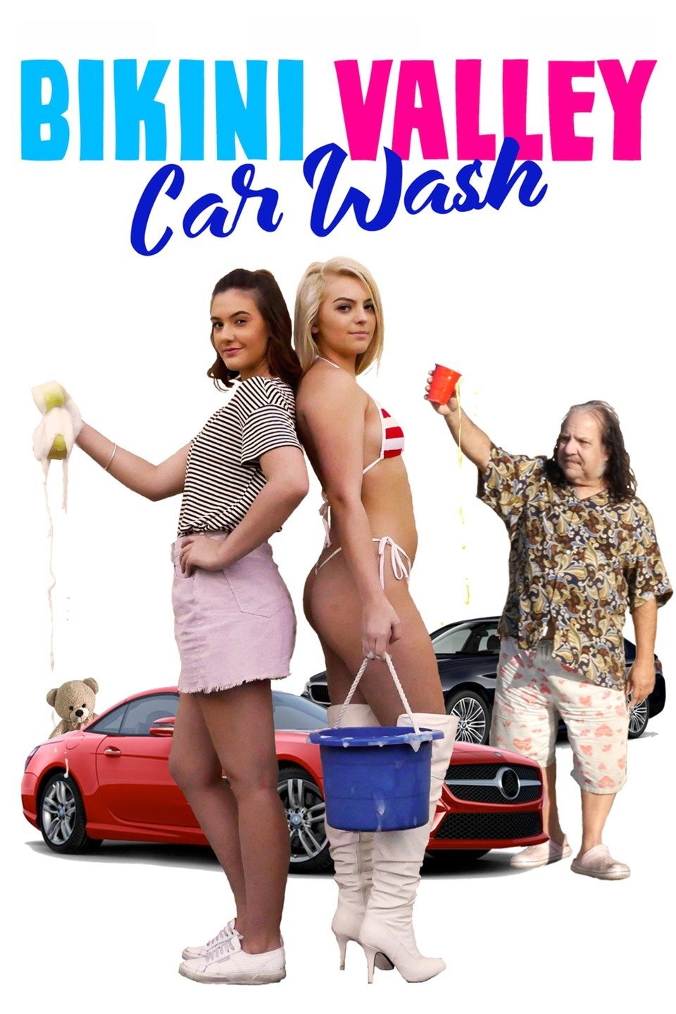 Bikini Valley Car Wash (2020) — Big Movie Blog
