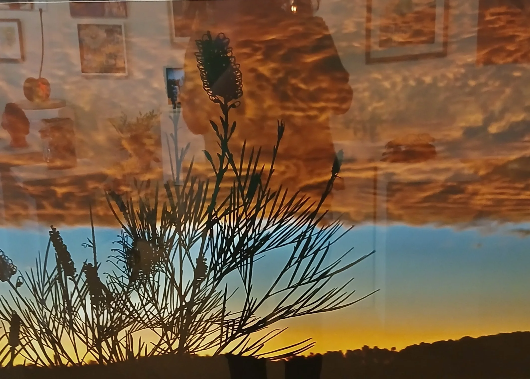 2325 Wollombi Award $500
'Tequila Sunrise'
Photograph
by Garry Musgrove