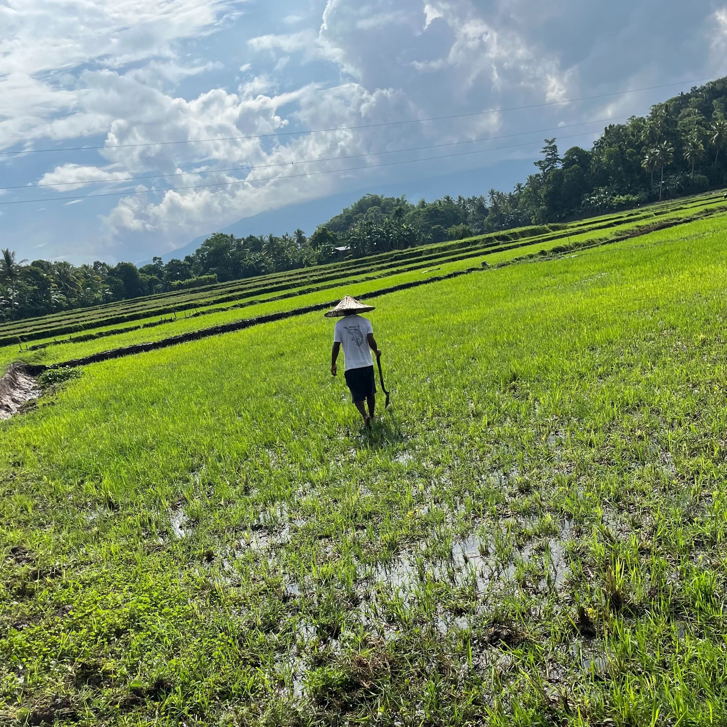 Philippine Agriculture Team