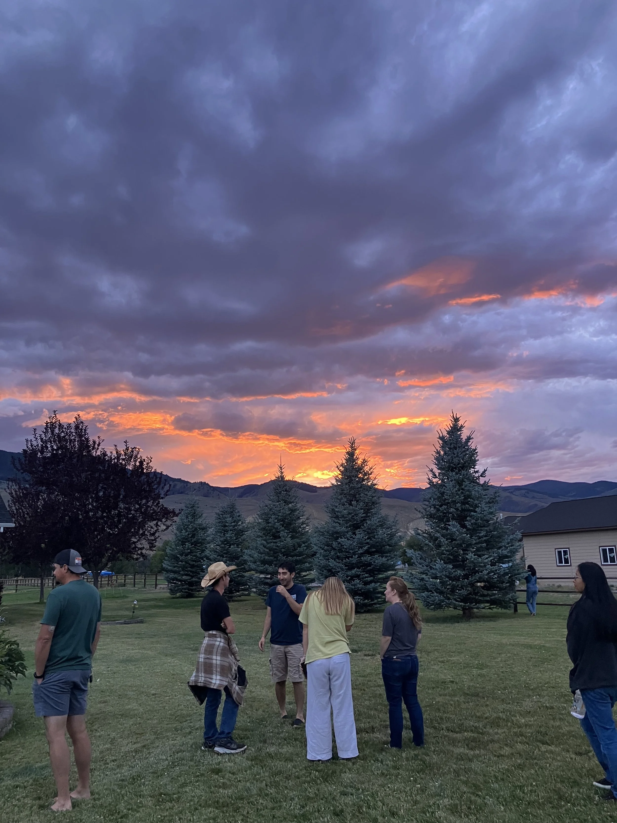 IMG_6553 Emily Boyd.jpeg