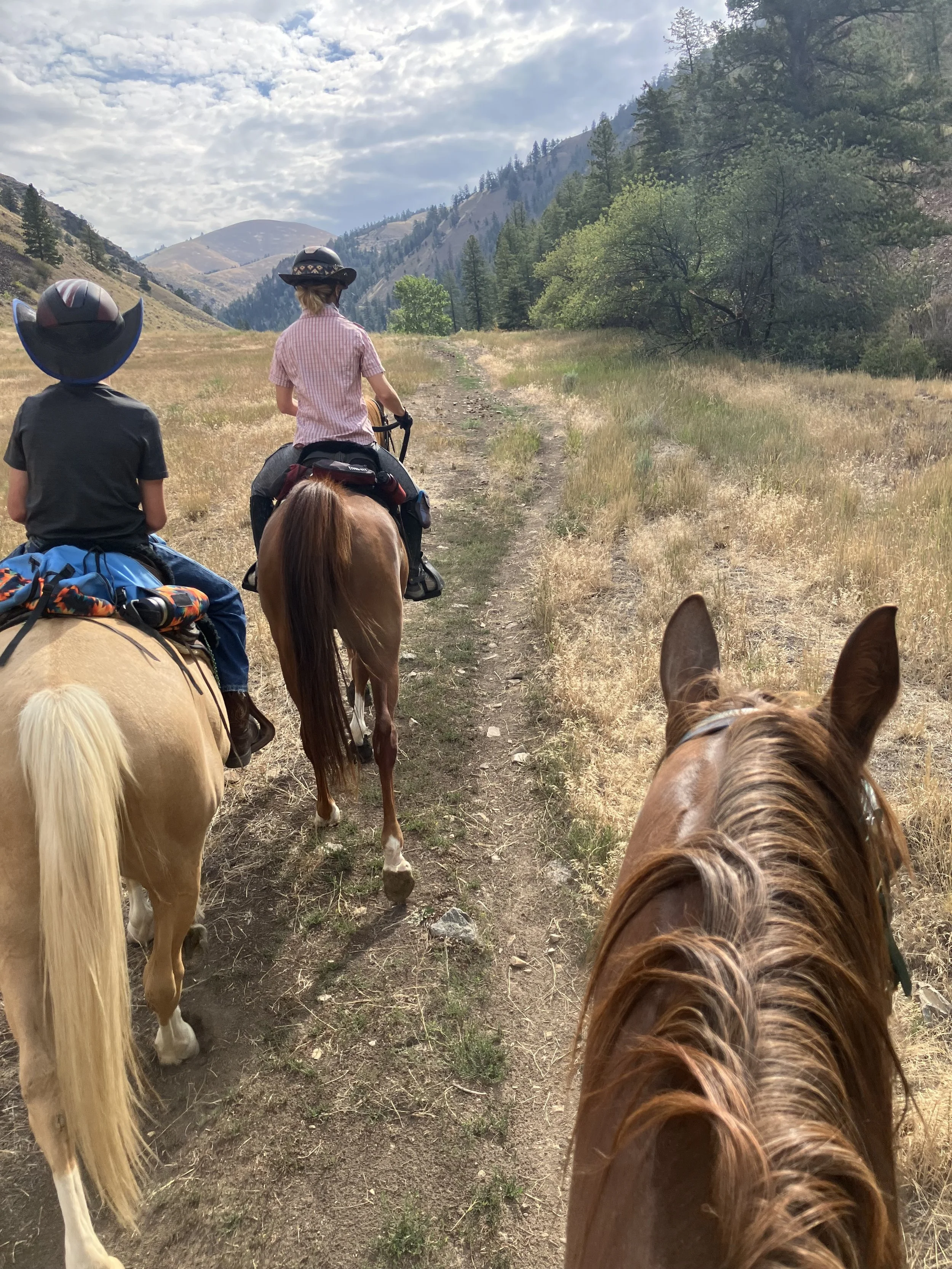 IMG_6563 Emily Boyd.jpeg