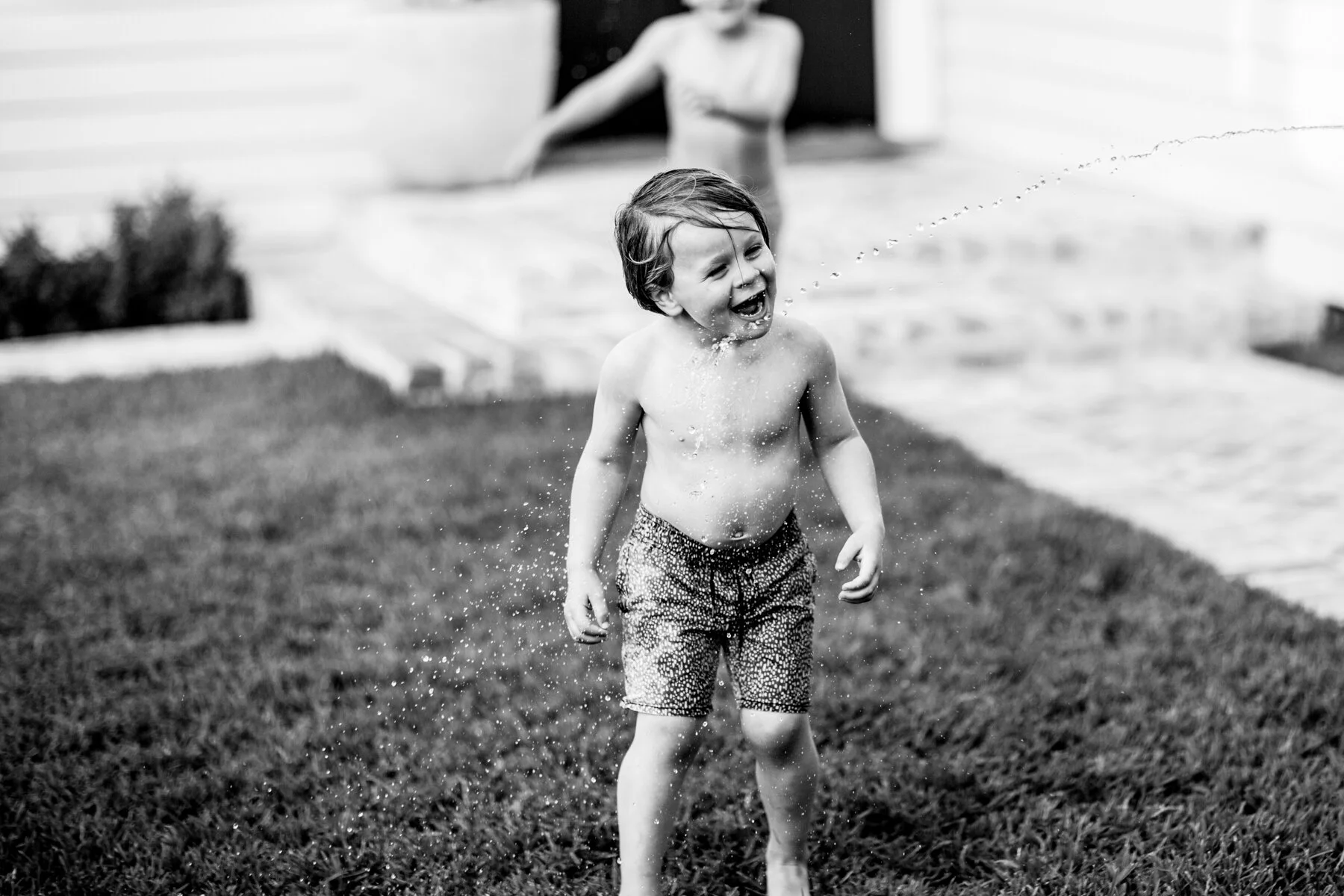 Frankie, Family shoot Melbourne