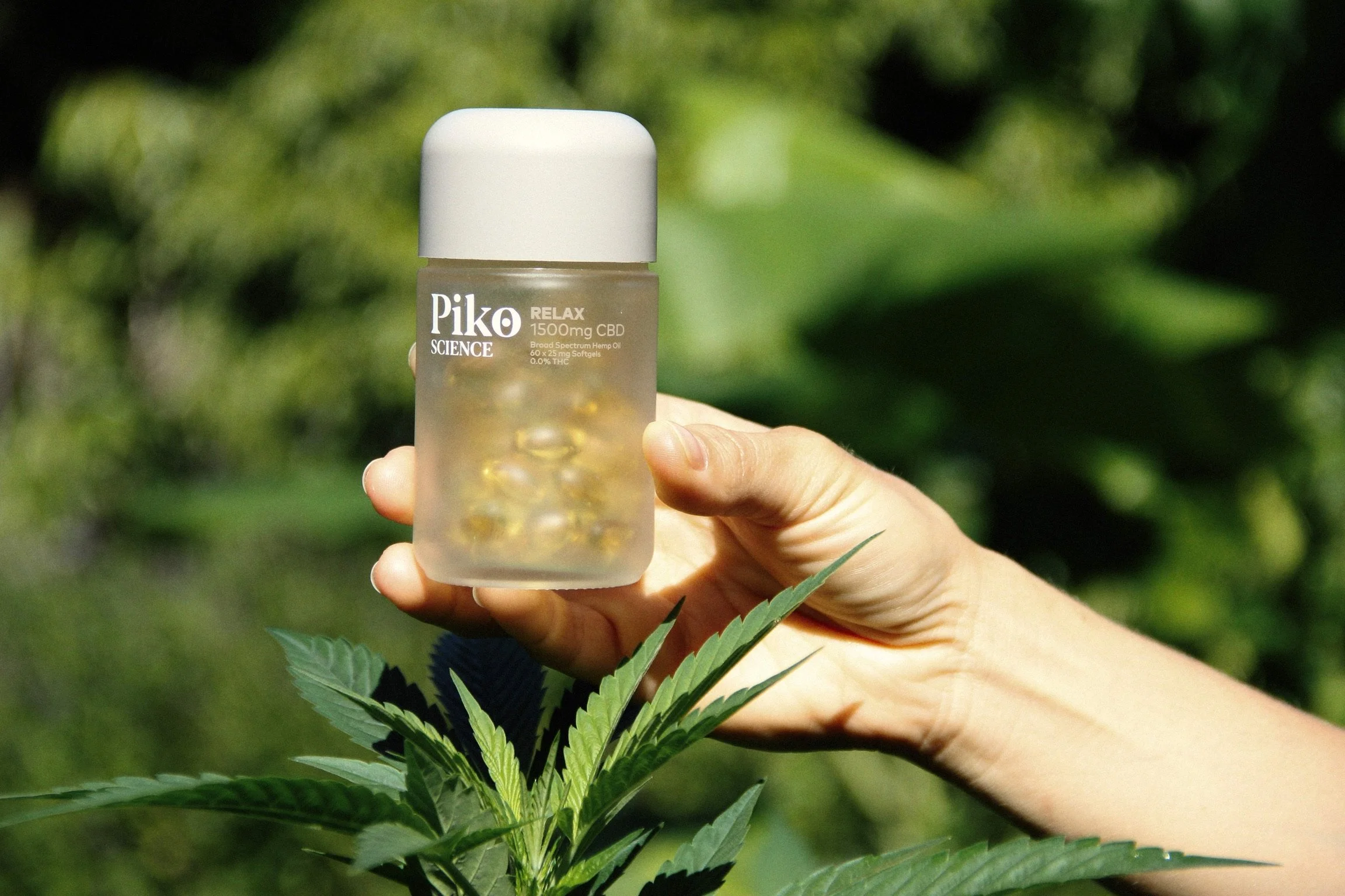 IMG_1670-Exposure (1).JPG