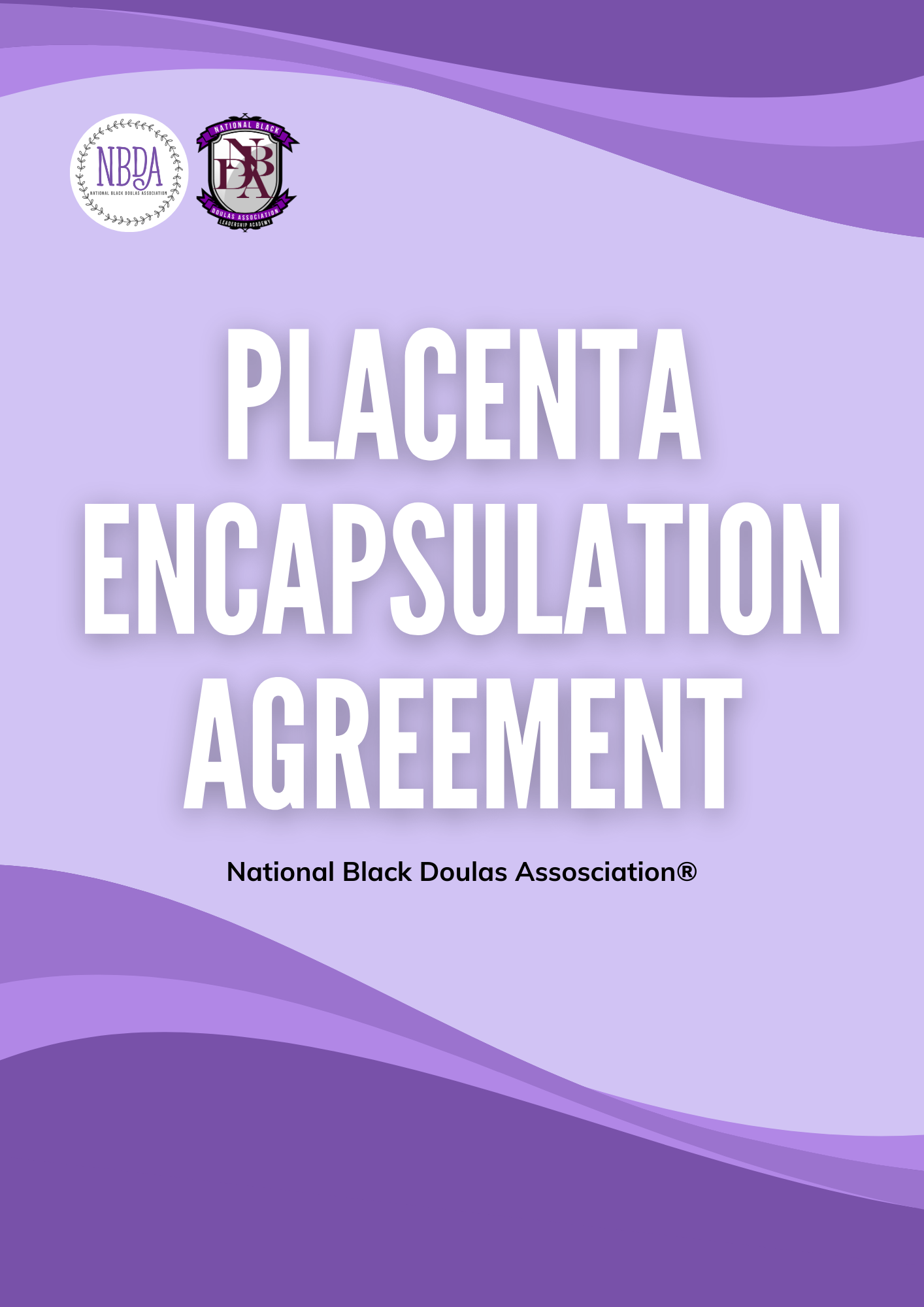 Placenta Encapsulation Agreement.png