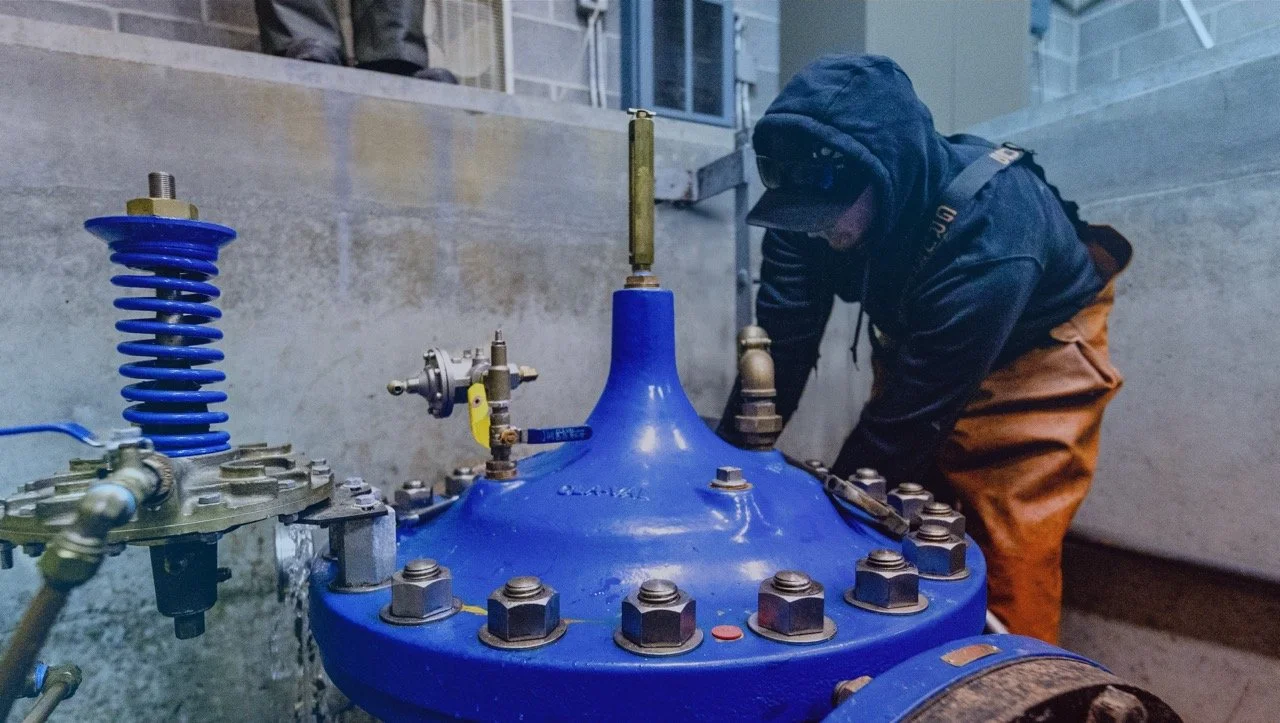 Staff Profile: Alex Hewitt