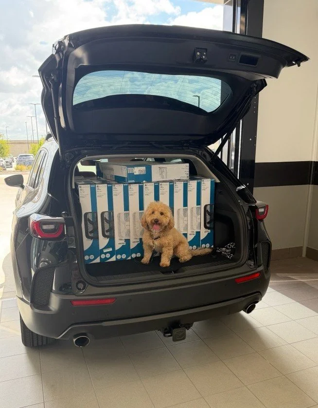 a dog sitting in the trunk of a car filled with box fans