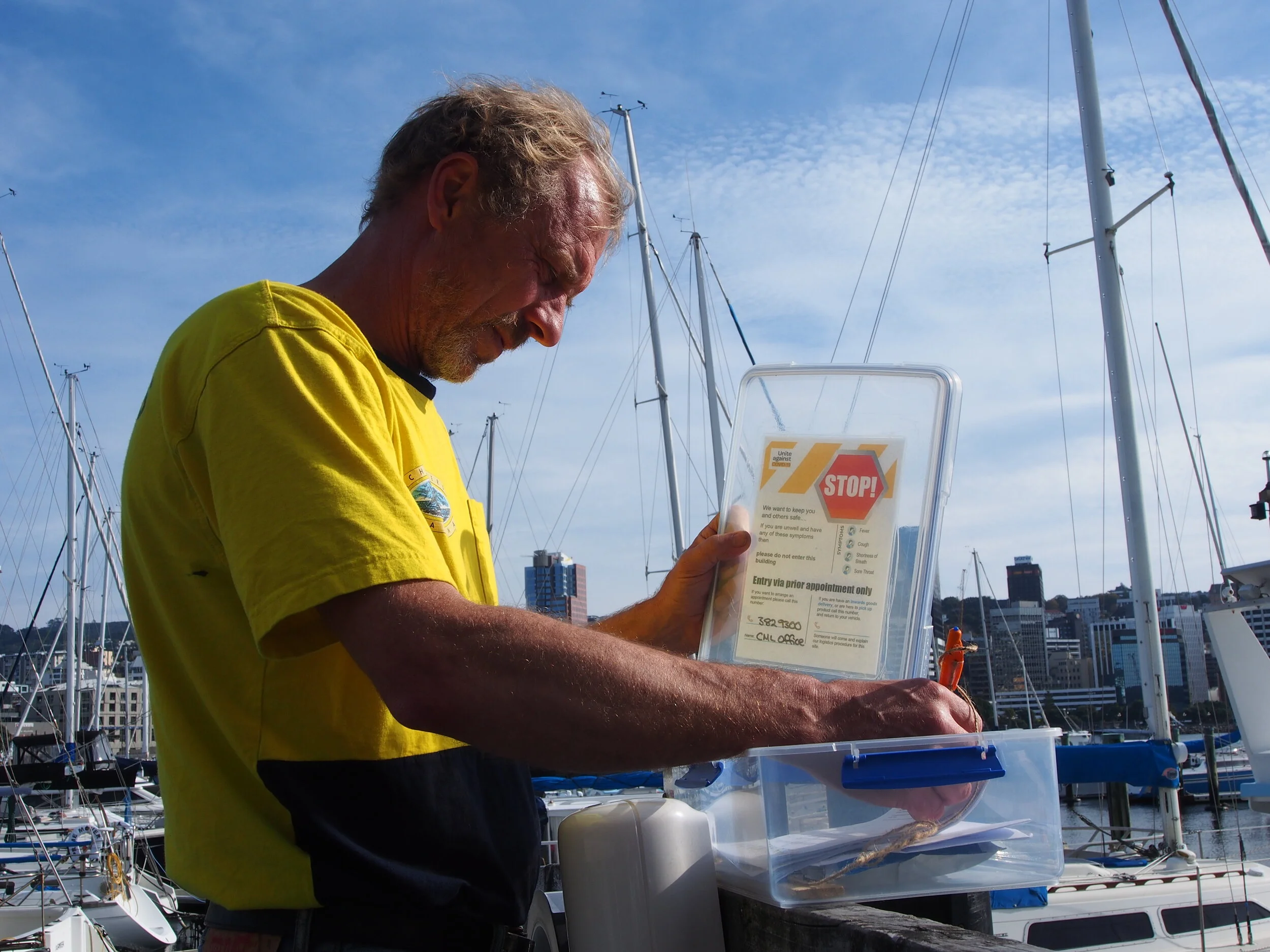 Dockmaster Chris replenishing the COVID 19 Health Declarations at Chaffers Marina in Wellington.