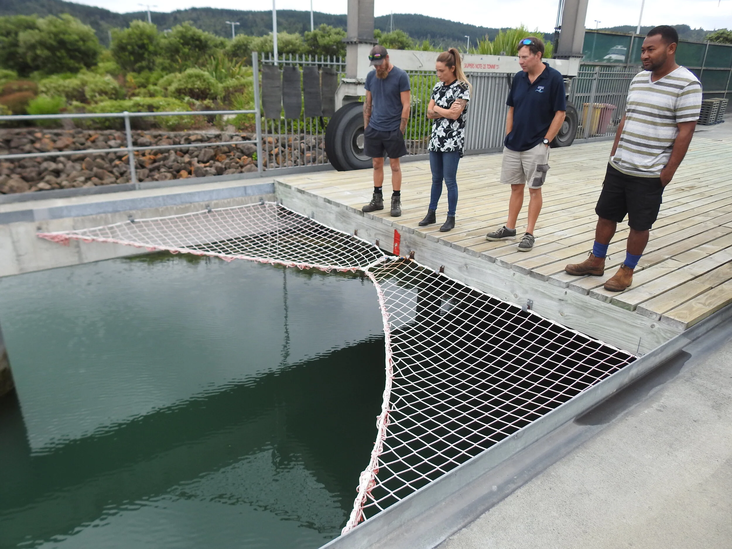 Checking out the nets at Whangamata.JPG