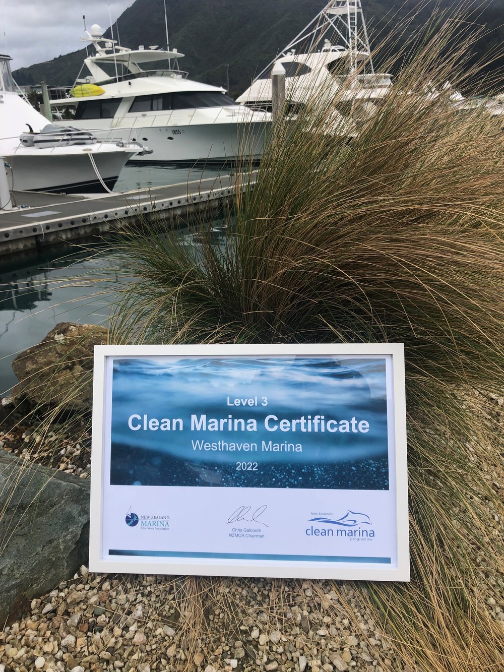 Clean Marina Certificate.jpeg