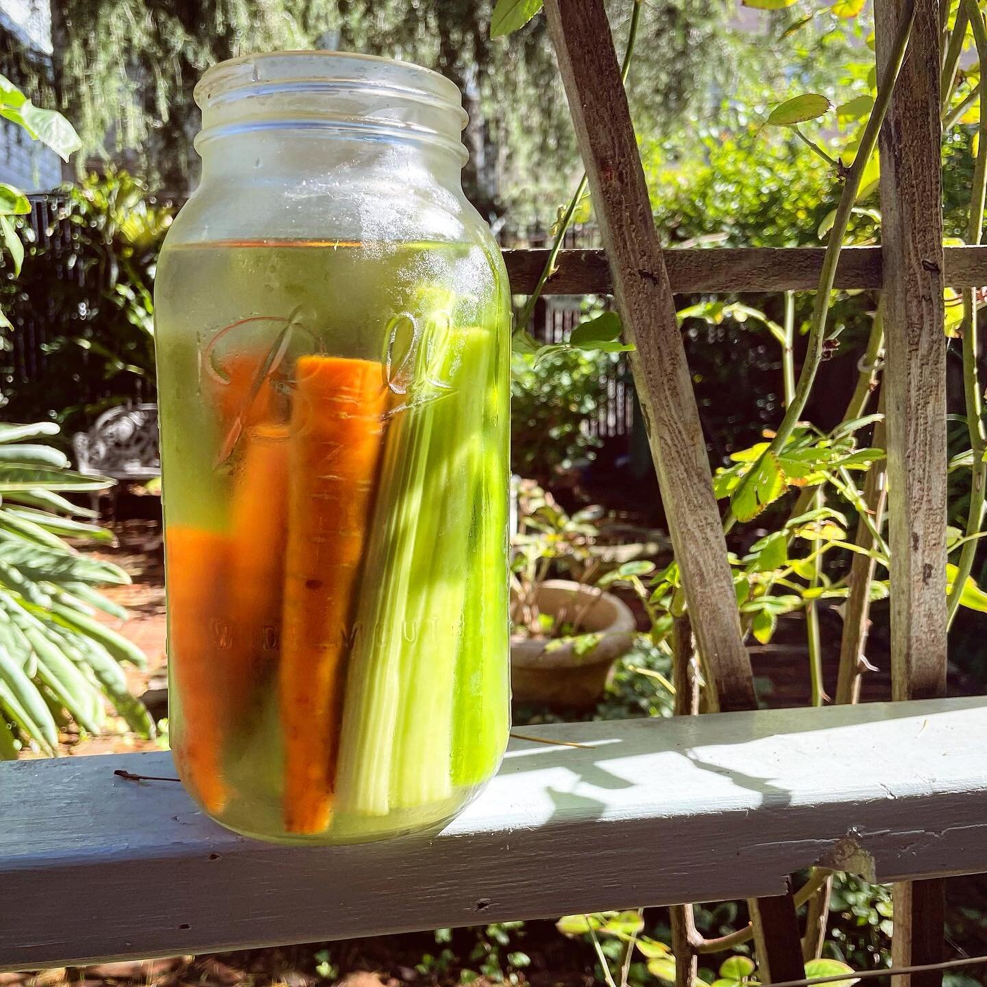 Eating veggies while they&rsquo;re fresh is always best, but to keep them from turning into a floppy rubbery mess, try keeping them in water until use. Snap! #freshveggies #snap #nofilter #nofoodshots #notintothesun #keepitcrisp
