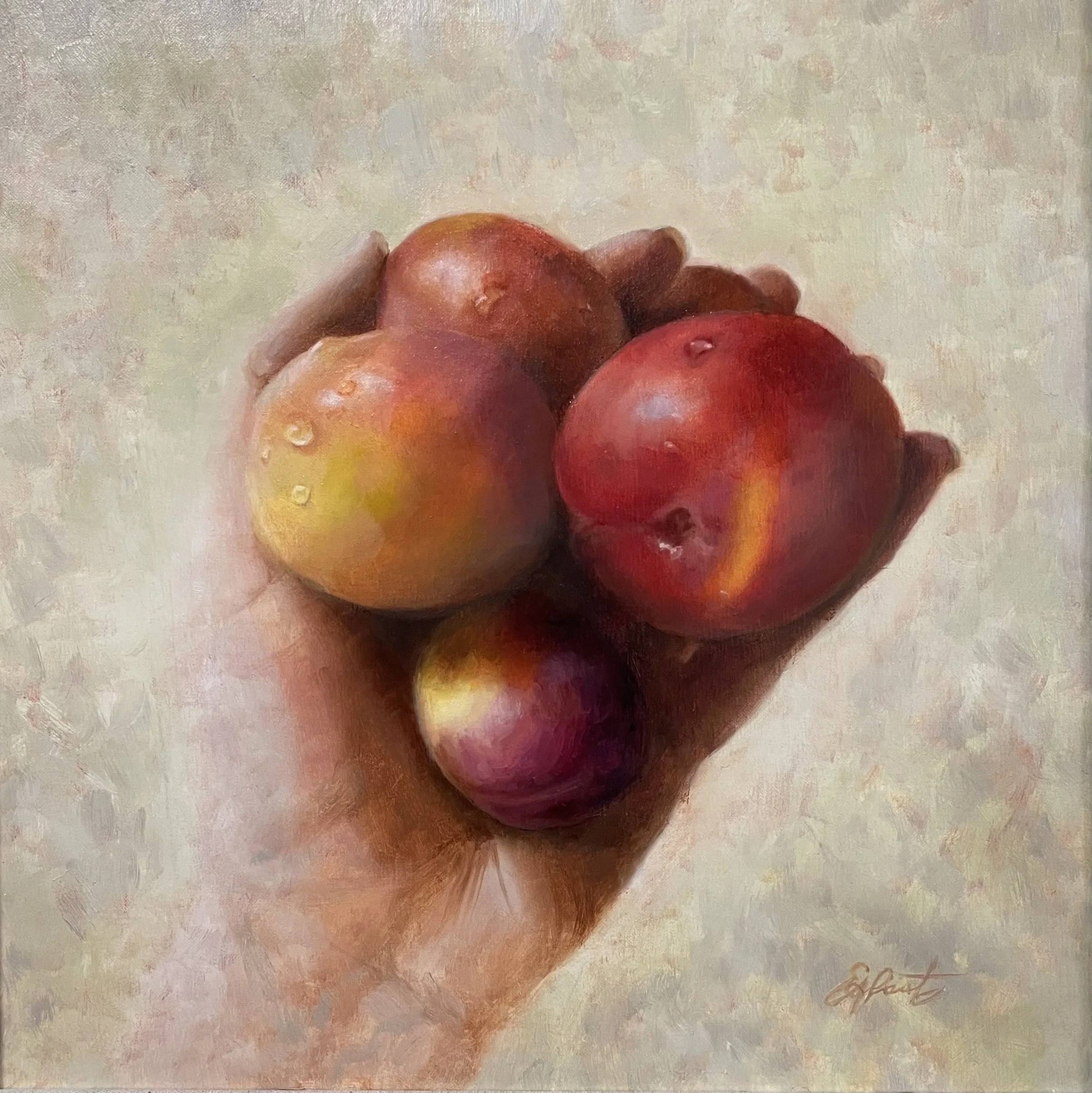 In Due Season, 12x12 in, oil on linen, SOLD