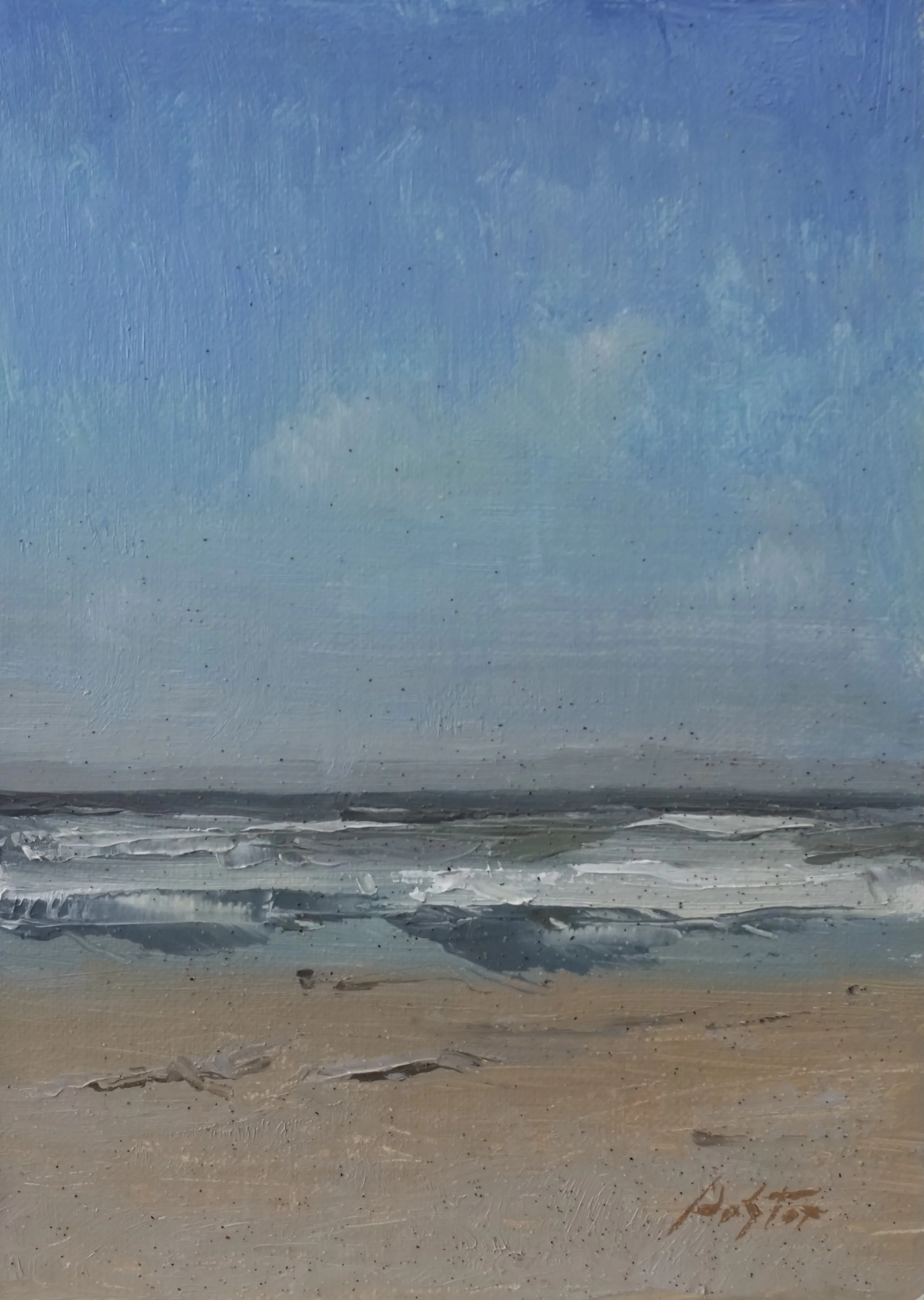 Sunny Coastal Study