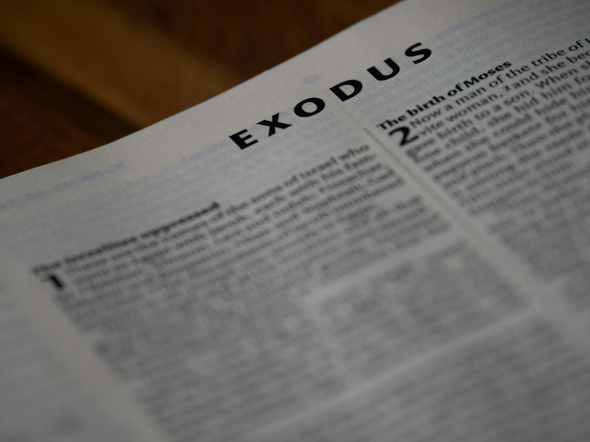 Moses Maligned by Biblical Interpreters