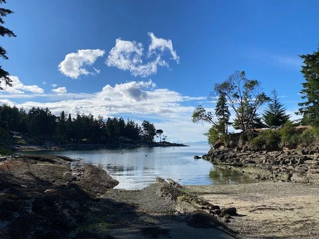 A beach of rocks looking out at the ocean and forest in the distance