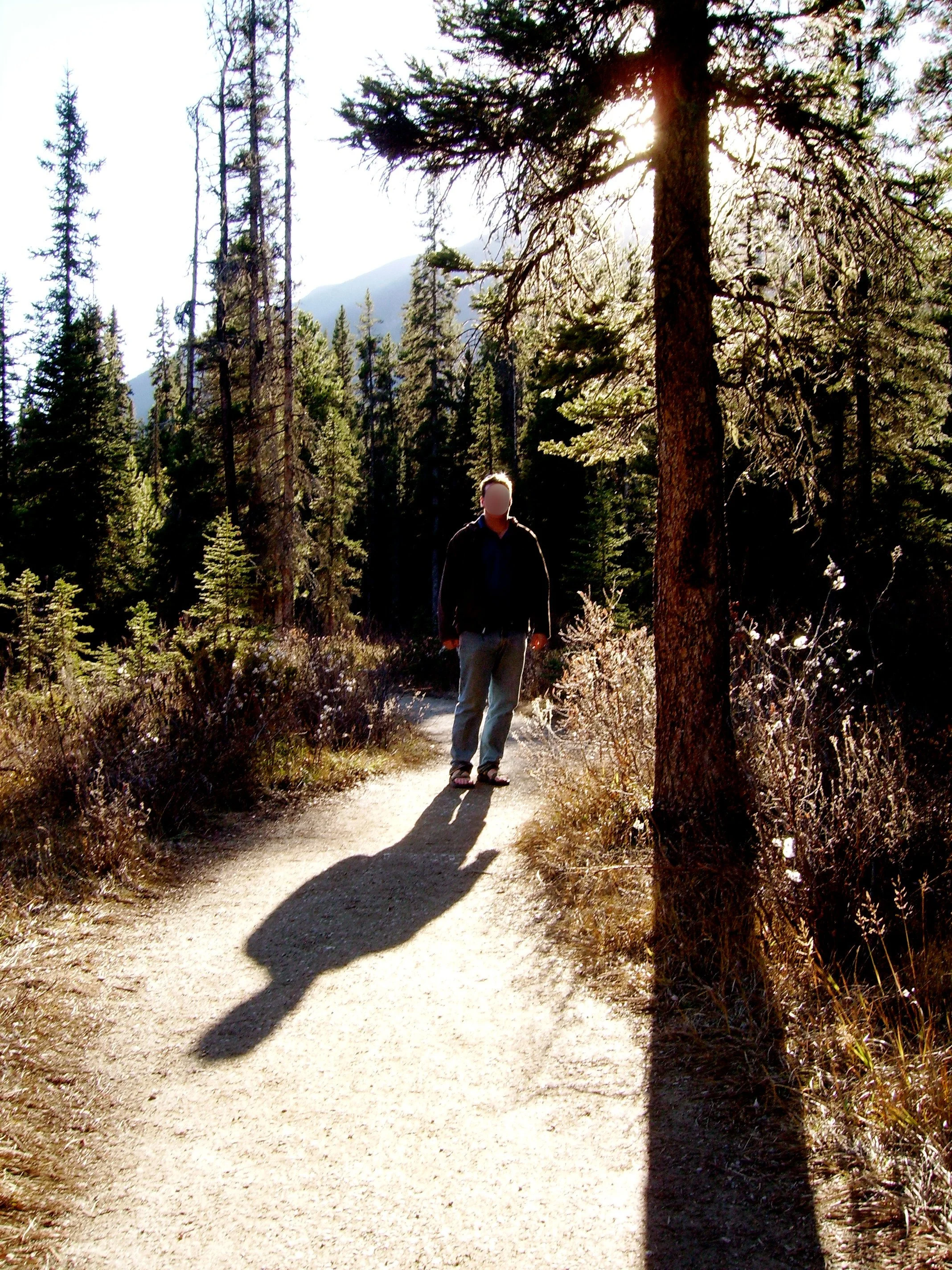 A large man standing in a forest with his shadow before him on a dirt path