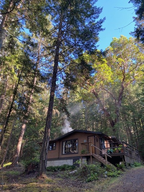 A small wood cabin with smoke coming out the chimney surrounded by the tall trees of a forest